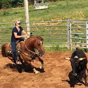 Meet your Posher, Julia